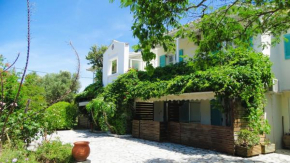 Agrambeli Rooms & Apartments